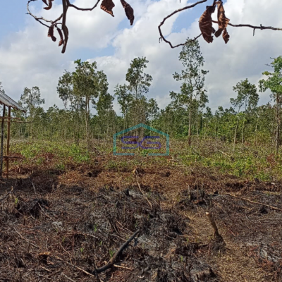 Dijual Tanah Luas 1 Hektar di Sematang Borang Palembang yang siap bangun!