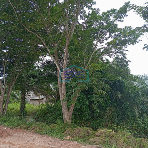 Dijual Cepat! Tanah Strategis Talang Jambe Banyuasin Sumatera Selatan Harga Terjangkau, Lokasi Premium!-3