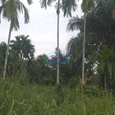 Dijual Cepat! Tanah Strategis Talang Jambe Banyuasin Sumatera Selatan Harga Terjangkau, Lokasi Premium!