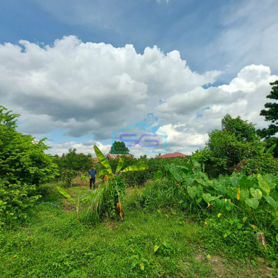 Dijual Tanah Murah Strategis Siap Bangun di Talang Jambe, Palembang