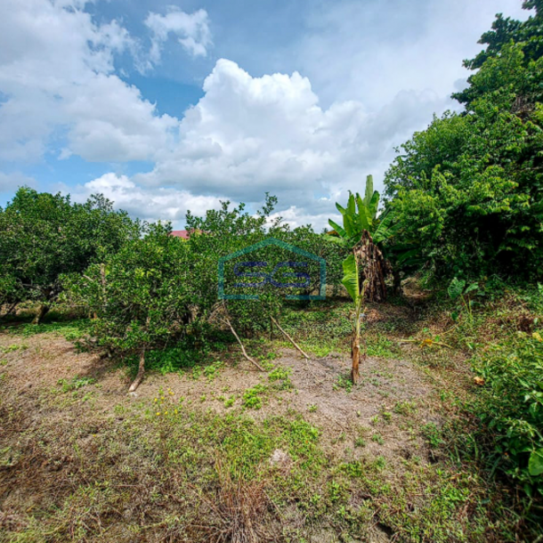 Dijual Tanah Murah Strategis Siap Bangun di Talang Jambe, Palembang-1
