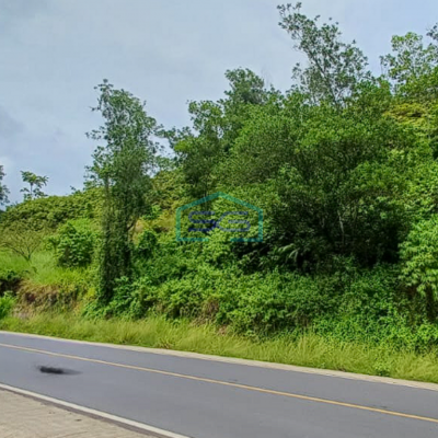 Dijual Tanah di Desa Kancing Bengkulu Tengah Luas Tanah 29.900m2