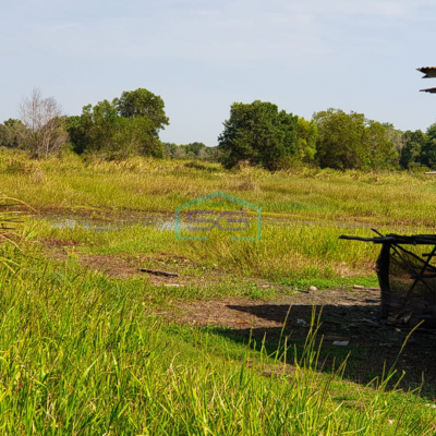 Dijual Cepat Tanah Luas di Pinggir Jalan Llintas Palembang-Indralaya, Luas 4 Ha