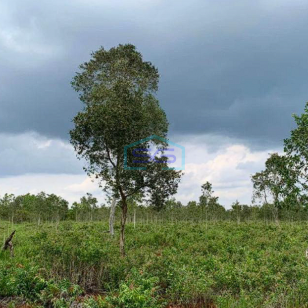 Dijual Tanah Siap Bangun di Jalan Tanah Mas, Talang Kelapa, Palembang LT 25000m2-1