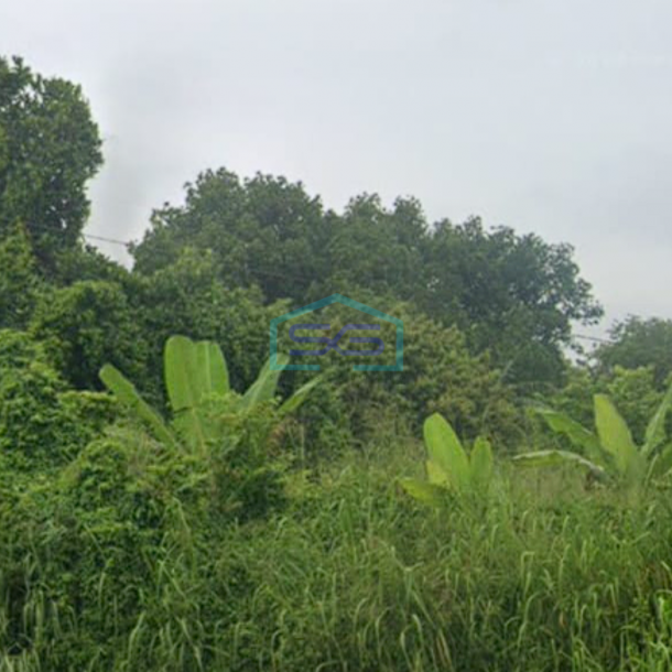 Dijual Tanah Luas  di, Jl. Sriwijaya Raya, Indralaya, Ogan Ilir Sumatera Selatan LT 18.300m2-1