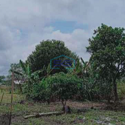 Dijual Tanah Luas Siap Bangun Dekat Gerbang Tol Indralaya Palembang