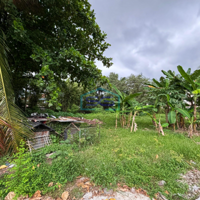 Dijual Tanah Plus Bangunan Jalan M Isa Palembang Luas Tanah 8356m2