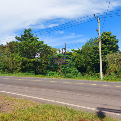 Dijual Tanah Jalan Lintas Sumatra Sriwijaya Raya KM 22 Jalan Palembang Indralaya Sumatera Selatan LT 5.6 Ha