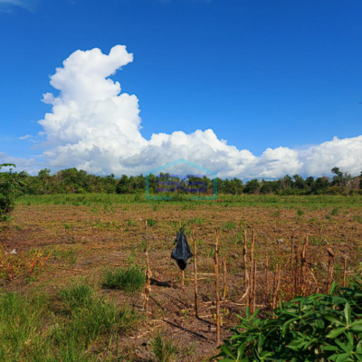 Dijual Tanah Jalan Lintas Sumatra Sriwijaya Raya KM 22 Jalan Palembang Indralaya Sumatera Selatan LT 5.6 Ha