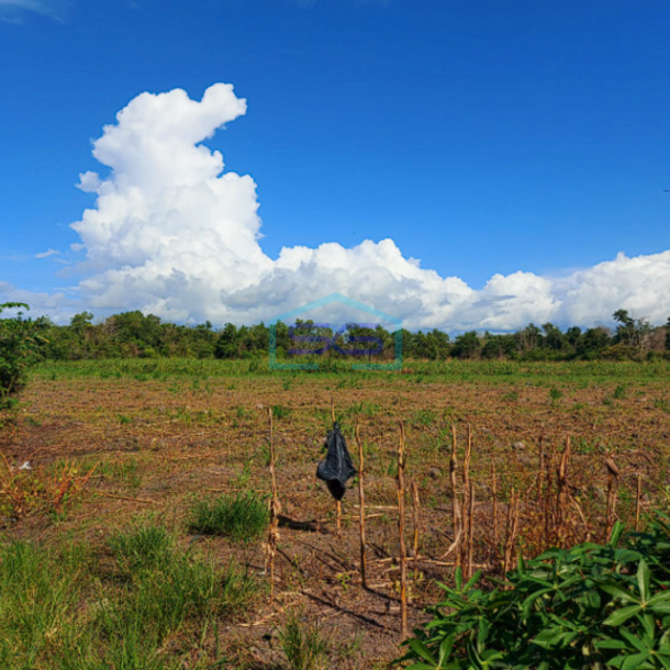 Dijual Tanah Jalan Lintas Sumatra Sriwijaya Raya KM 22 Jalan Palembang Indralaya Sumatera Selatan LT 5.6 Ha-3