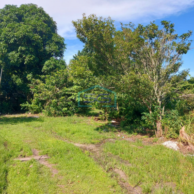 Dijual Tanah Jalan Lintas Sumatra Sriwijaya Raya KM 22 Jalan Palembang Indralaya Sumatera Selatan LT 5.6 Ha