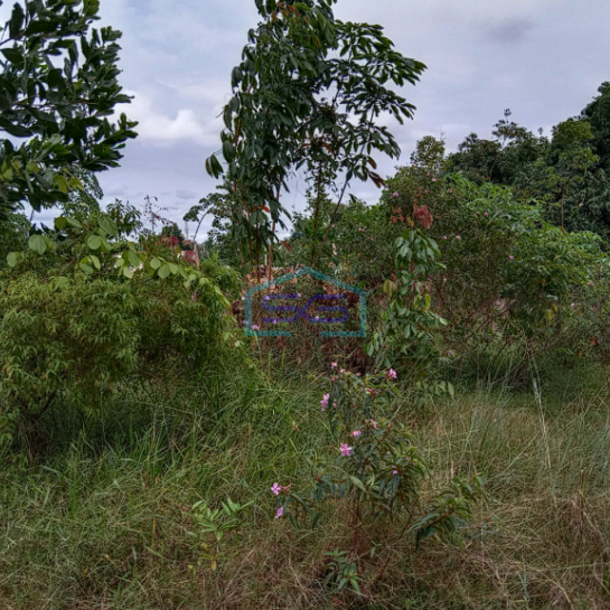 Dijual Tanah Strategis di Jl. Duku Komp Polantas, Kel. Sukajaya, Kec. Sukarami, Palembang LT 3110m2-3