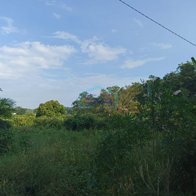 Dijual Tanah 1,2 Ha di Pangkalan Benteng Sukomoro Talang Kelapa Banyuasin Sumatera Selatan