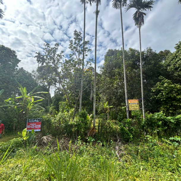 Dijual Tanah Produktif di Lintas Muara Enim Palembang Luas 2110m2-2