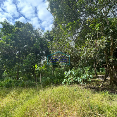 Dijual Tanah Produktif di Lintas Muara Enim Palembang Luas 2110m2