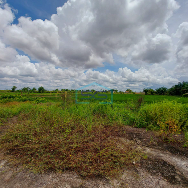 Dijual Tanah Luas 4 Hektar di Lokasi Strategis Karang Anyar, Jalan Tanjung Api Api KM 43 Banyuasin-2