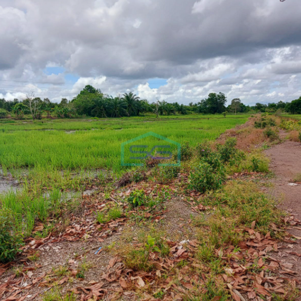Dijual Tanah Luas 4 Hektar di Lokasi Strategis Karang Anyar, Jalan Tanjung Api Api KM 43 Banyuasin-1