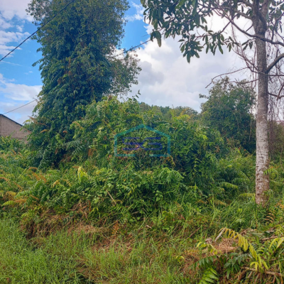 Dijual Tanah Kavling Luas di Jalan Kajan Bayan, Gandus Palembang Siap Bangun