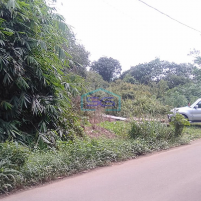 Dijual Tanah Seluas 50,719m2 (5 ha) dengan Harga Spesial di Banyuasin Sumatera Selatan