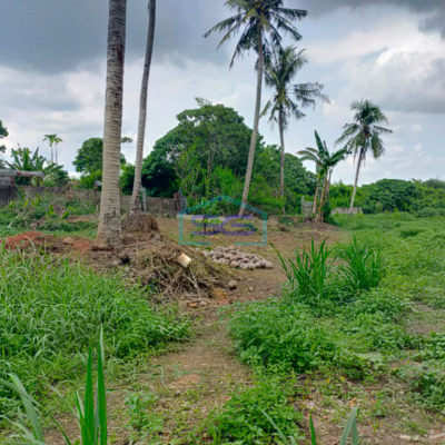 Dijual Tanah Strategis di Jalan Talang Buruk, Alang Alang Lebar Palembang Luas 2 Ha