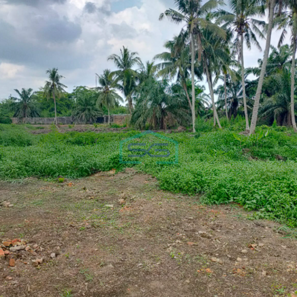 Dijual Tanah Strategis di Jalan Talang Buruk, Alang Alang Lebar Palembang Luas 2 Ha-1