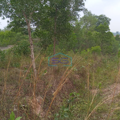 Dijual Tanah Strategis di Talang Buruk Km 7 Palembang Harga Terjangkau!