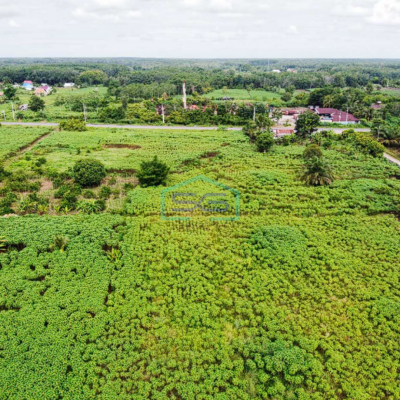 Disewakan Lahan di Tepi Jalan Palembang Prabumulih Luas 360000m2