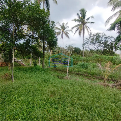 Dijual Strategis! Lahan Tanah di Samping Pabrik Talang Kelapa Banyuasin Sumatera Selatan LT 1 Ha