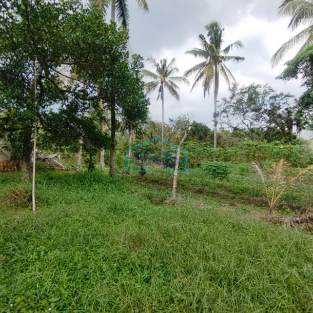 Dijual Strategis! Lahan Tanah di Samping Pabrik Talang Kelapa Banyuasin Sumatera Selatan LT 1 Ha-3