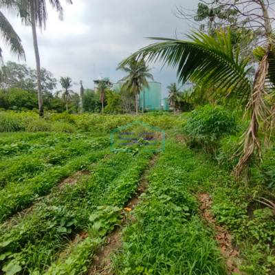 Dijual Strategis! Lahan Tanah di Samping Pabrik Talang Kelapa Banyuasin Sumatera Selatan LT 1 Ha