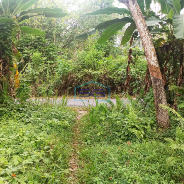 Dijual Tanah di Lokasi Strategis di Pinggir Jalan Utama Gelumbang, Muara Enim LT 15.010m2-2