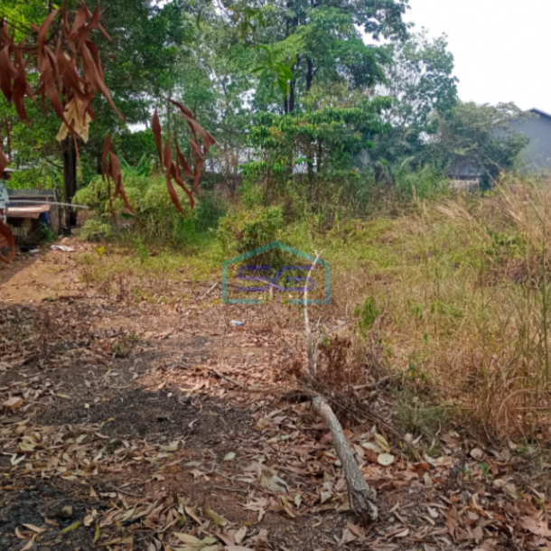Dijual Tanah Keras Siap Bangun di Jalan Bypass Alang-Alang, Kota Palembang-1