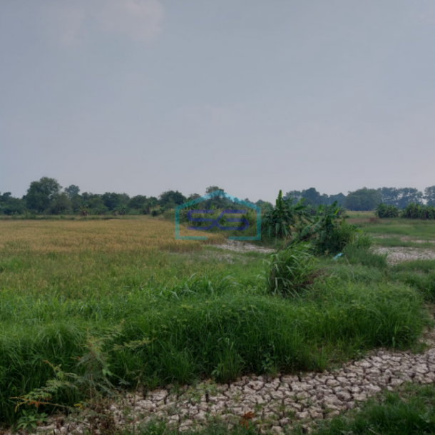 Dijual Tanah Strategis di Lokasi Pegayut Pemulutan Ogan Ilir Sumatera Selatan LT 50425m2-4