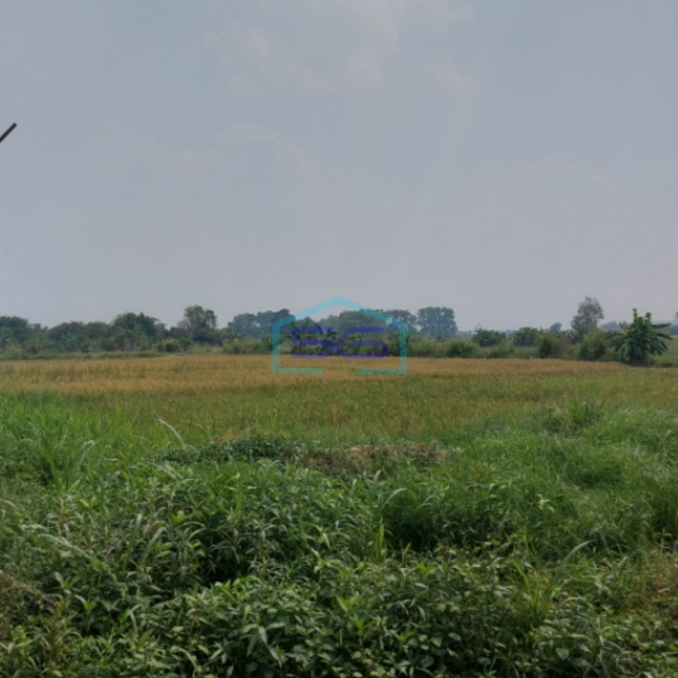 Dijual Tanah Strategis di Lokasi Pegayut Pemulutan Ogan Ilir Sumatera Selatan LT 50425m2-3