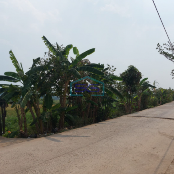 Dijual Tanah Strategis di Lokasi Pegayut Pemulutan Ogan Ilir Sumatera Selatan LT 50425m2-2