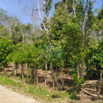 Dijual Tanah Strategis di Pinggir Jalan Lahat Sumatera Selatan Luas Tanah 12651m2