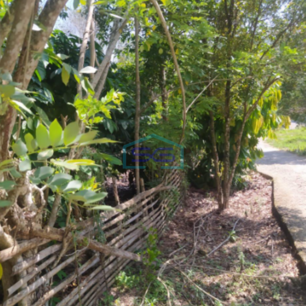 Dijual Tanah Strategis di Pinggir Jalan Lahat Sumatera Selatan Luas Tanah 12651m2-2