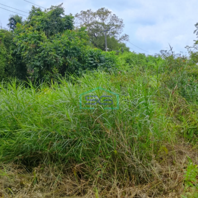 Dijual Tanah Di Talang Keramat Banyuasin Sumatera Selatan LT 22000m2