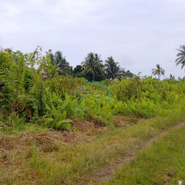 Dijual Tanah Di Talang Keramat Banyuasin Sumatera Selatan LT 22000m2-2