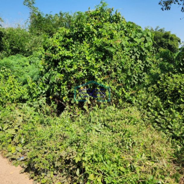 Dijual Tanah Kosong Luas di Banyuasin Sumatera Selatan Luas Tanah 118462m2-1