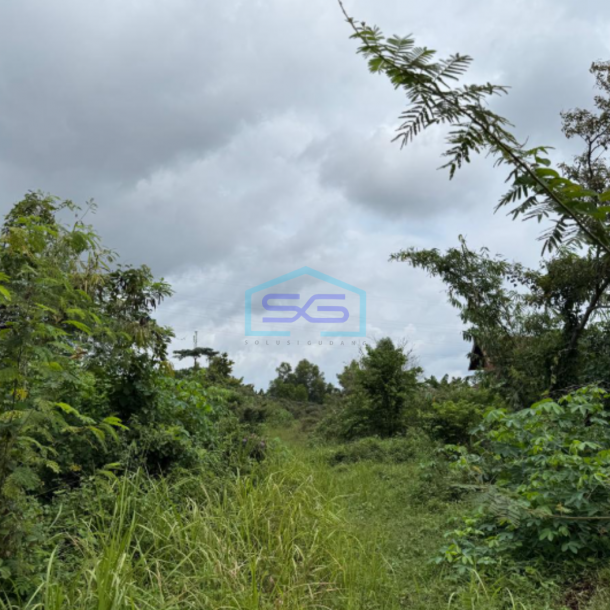 Dijual Tanah Siap Bangun di Jalan Iswahyudi Sekojo Palembang Sumatera Selatan LT 55800m2-3