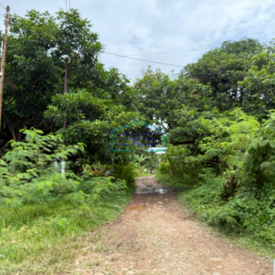 Dijual Tanah Siap Bangun Kolonel  H. Burlian Jalur Emas Bisnis Palembang Sumatera Selatan LT 8901m2