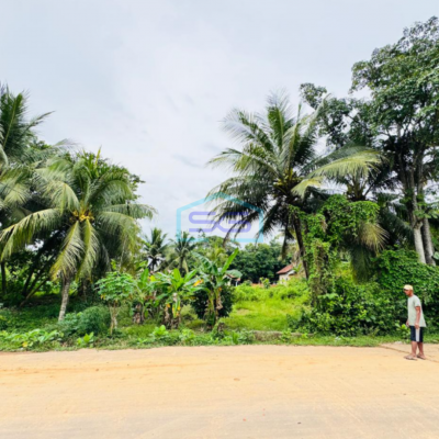 Dijual Cepat Tanah Murah Jalan Lebong Permai Alang Alang Lebar Palembang LT 1173m2