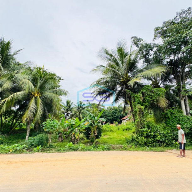 Dijual Cepat Tanah Murah Jalan Lebong Permai Alang Alang Lebar Palembang LT 1173m2-2