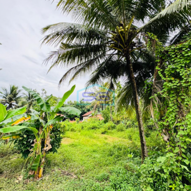 Dijual Cepat Tanah Murah Jalan Lebong Permai Alang Alang Lebar Palembang LT 1173m2-1