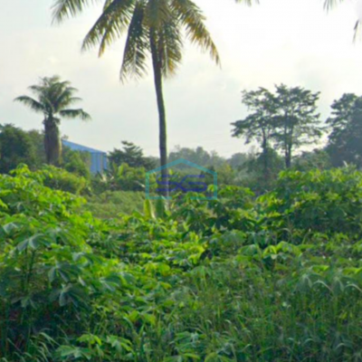 Dijual Tanah keras di Jalan Sriwijaya Raya Indralaya Ogan Ilir Palembang Sumatera Selatan LT 14000m2