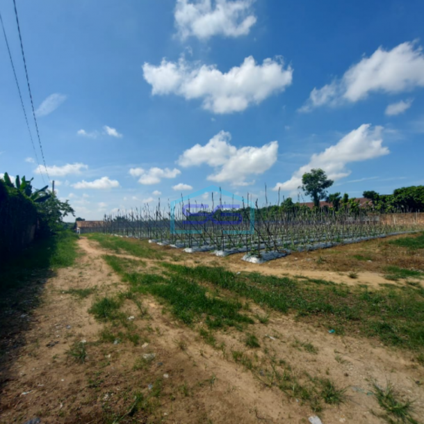 Dijual Tanah 6 Hektar di Jalan Sukamoro Palembang Sumatera Selatan-4