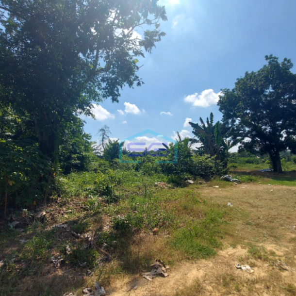 Dijual Tanah 6 Hektar di Jalan Sukamoro Palembang Sumatera Selatan-3