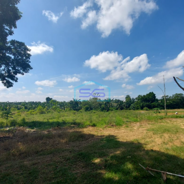 Dijual Tanah 6 Hektar di Jalan Sukamoro Palembang Sumatera Selatan-2