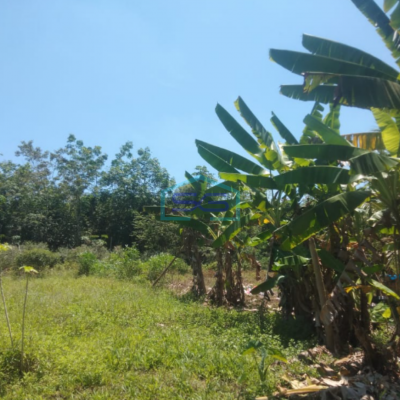 Dijual Tanah Strategis di Palembang Sumatera Selatan Luas 50000m2